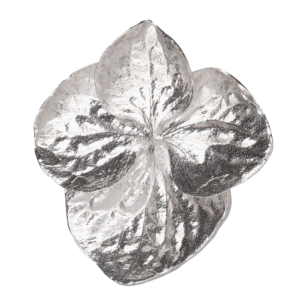 Hydrangea-sormus hopeasta