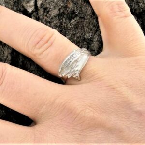 Freezing February sormus