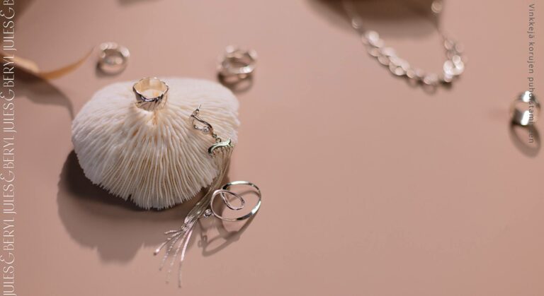 Hopeakorun puhdistus, opas korujen puhdistukseen